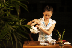 茶多酚,茶黄素,EGCG,速溶茶